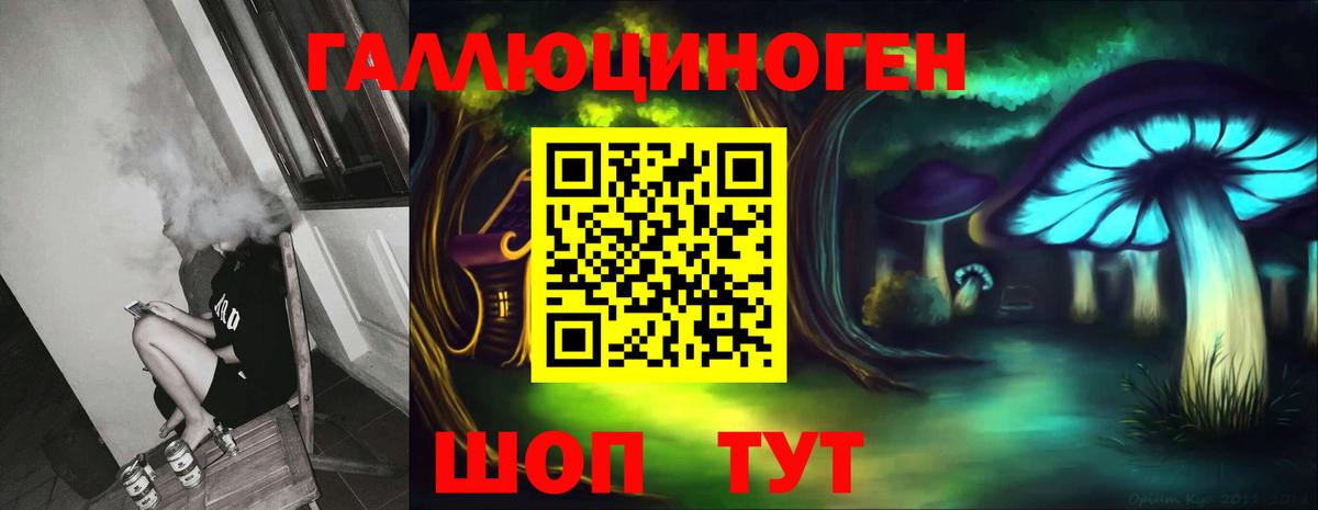 Галлюциногенные грибы ЛСД  где купить наркоту  Вход с VPN  Карачаевск  Псилоцибиновые грибы Psilocybe 
